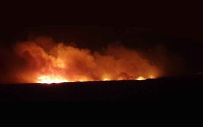 Comms Industry input to the Bushfires Royal Commission